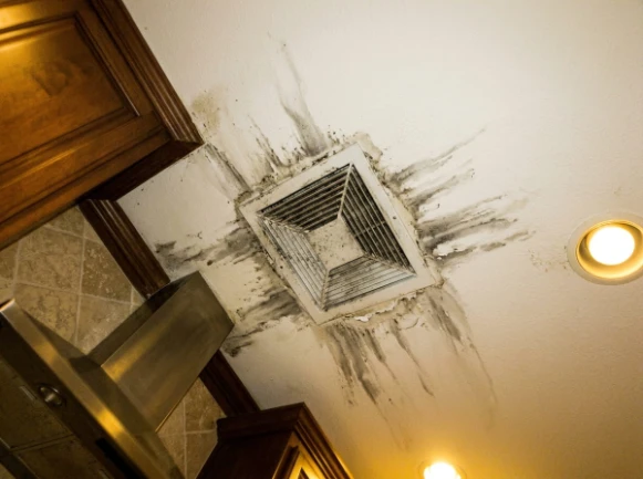 Ceiling vent showing streaks from biofilm and mold buildup in a Tampa home
