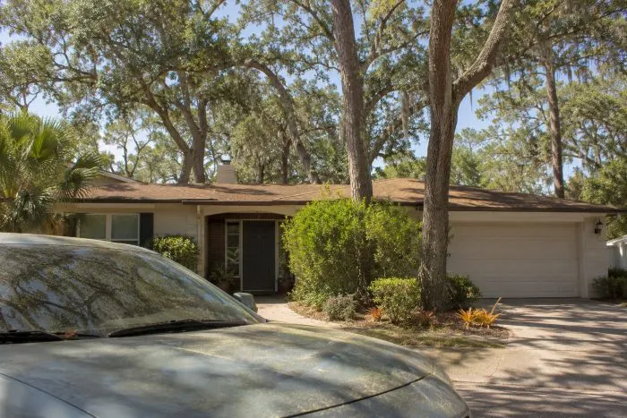 Residential Tampa home during pollen season with heavy tree cover